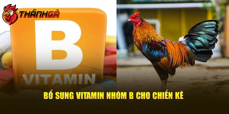 Bổ sung vitamin nhóm B cho chiến kê