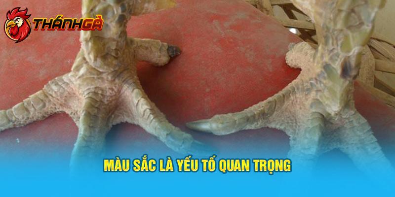 Màu sắc là yếu tố quan trọng