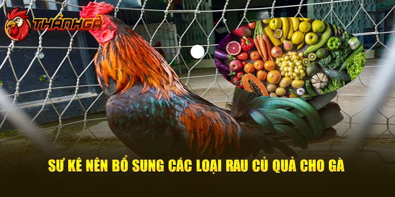 Sư kê nên bổ sung các loại rau củ quả cho gà